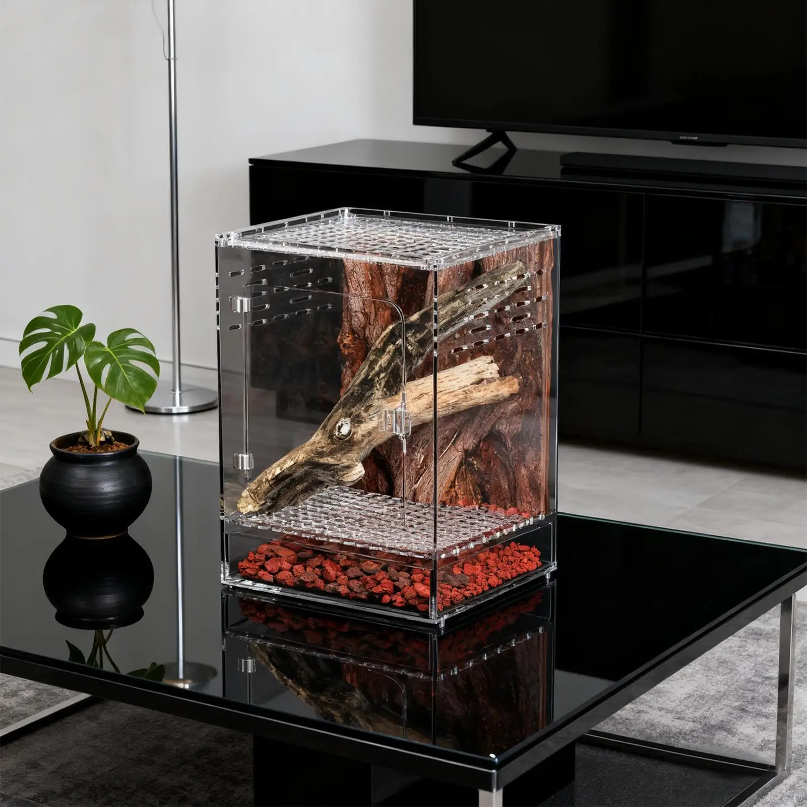 Acrylic Terrarium Habitat Box 4