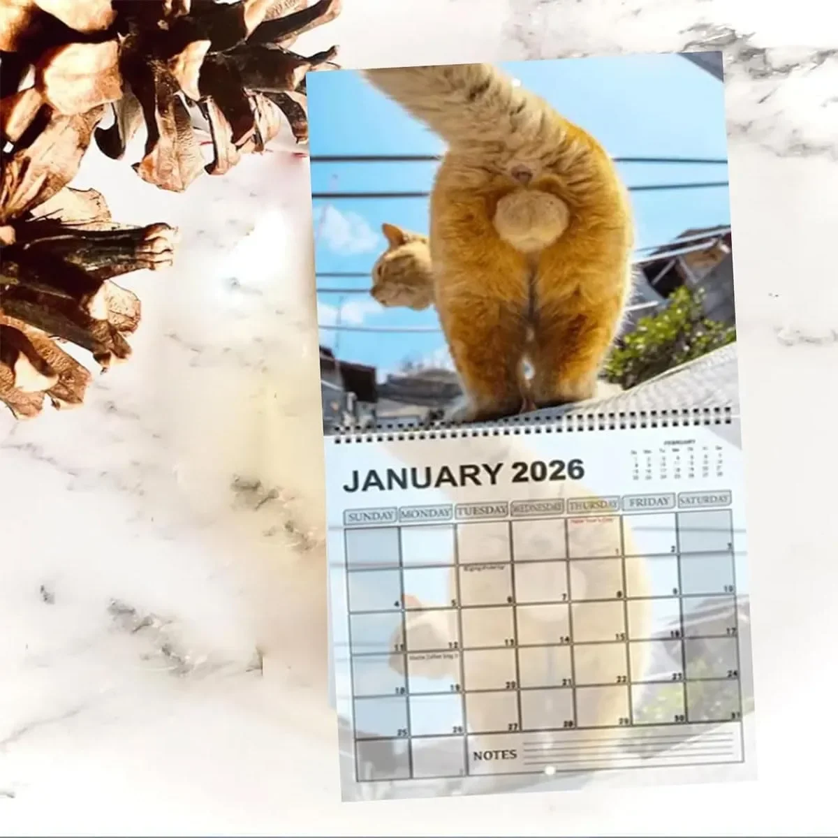 

Настенный календарь с милым забавным котом на 2026 год, планировщик с глупым кошачьим хвостом на 12 месяцев, органайзер для семейного расписания и подарок для домашнего декора