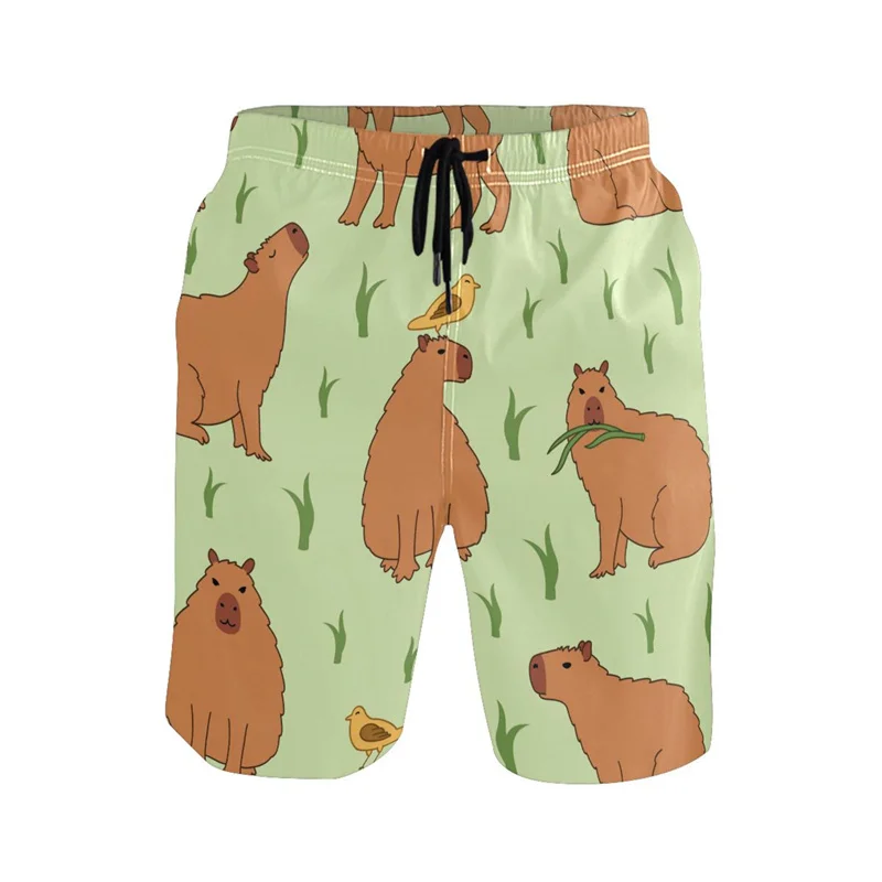 Cartoon Animal 3d Print Capybara Beach Shorts Men Cool Summer Surf Board Shorts Quick Dry Sports Loose Swim Trunks Kids Clothes