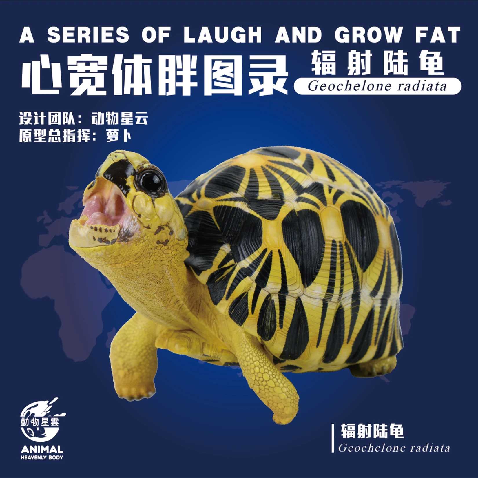 

Animal Heavenly Body Studio Open-mouthed Radiated Tortoise Model Astrochelys Radiata Turtle Animal Realistic Scene Decoration