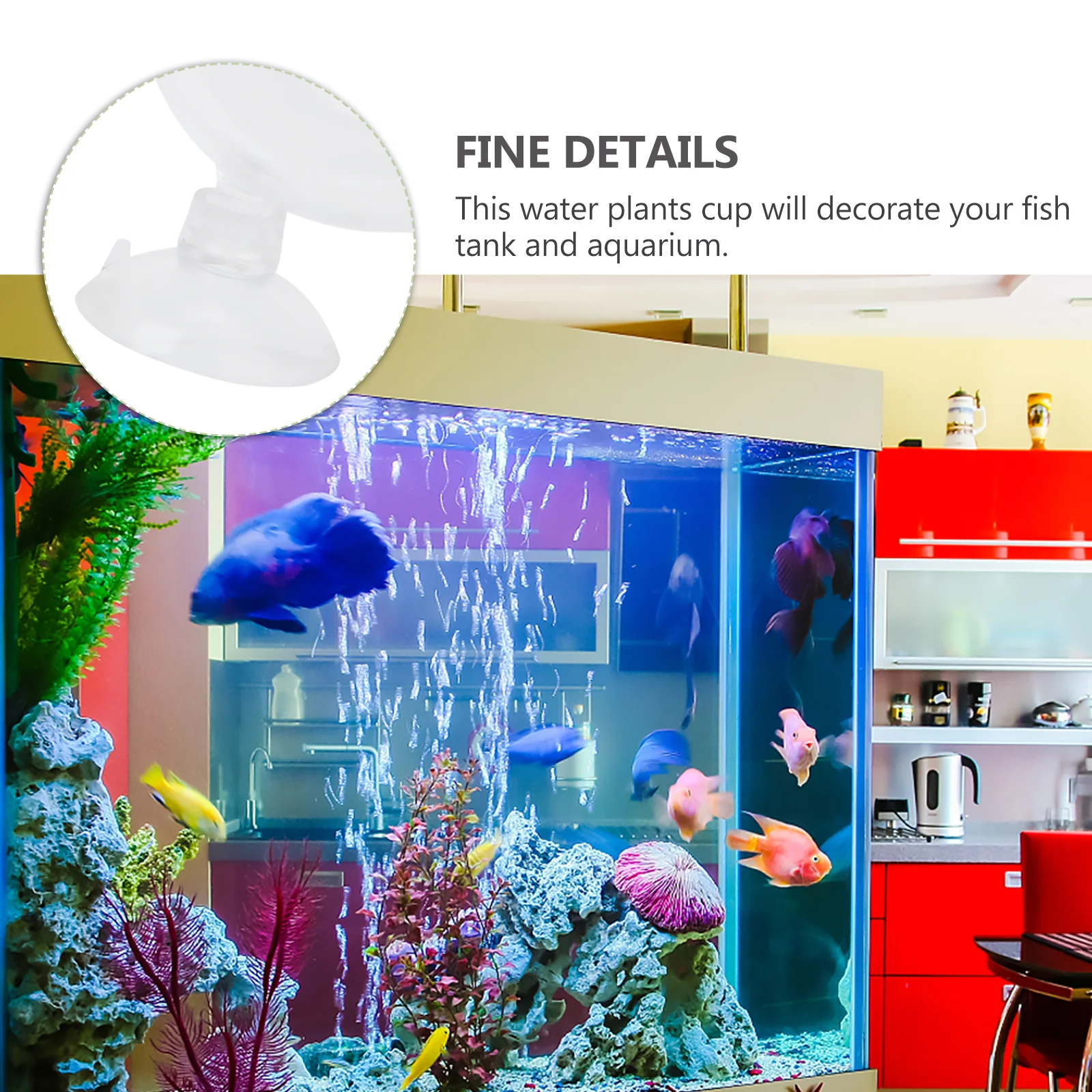 

3Pcs Transparent Glass Water Plant Cup for Aquarium Fish Tank Decor Cultivation Breeding Basin Landscape Design Tool