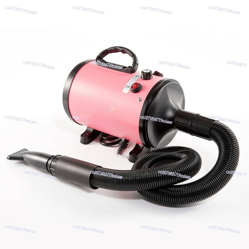 

Pet water dryer, dog hair dryer, high power and low noise, large dog golden retriever, teddy dog hair drying box