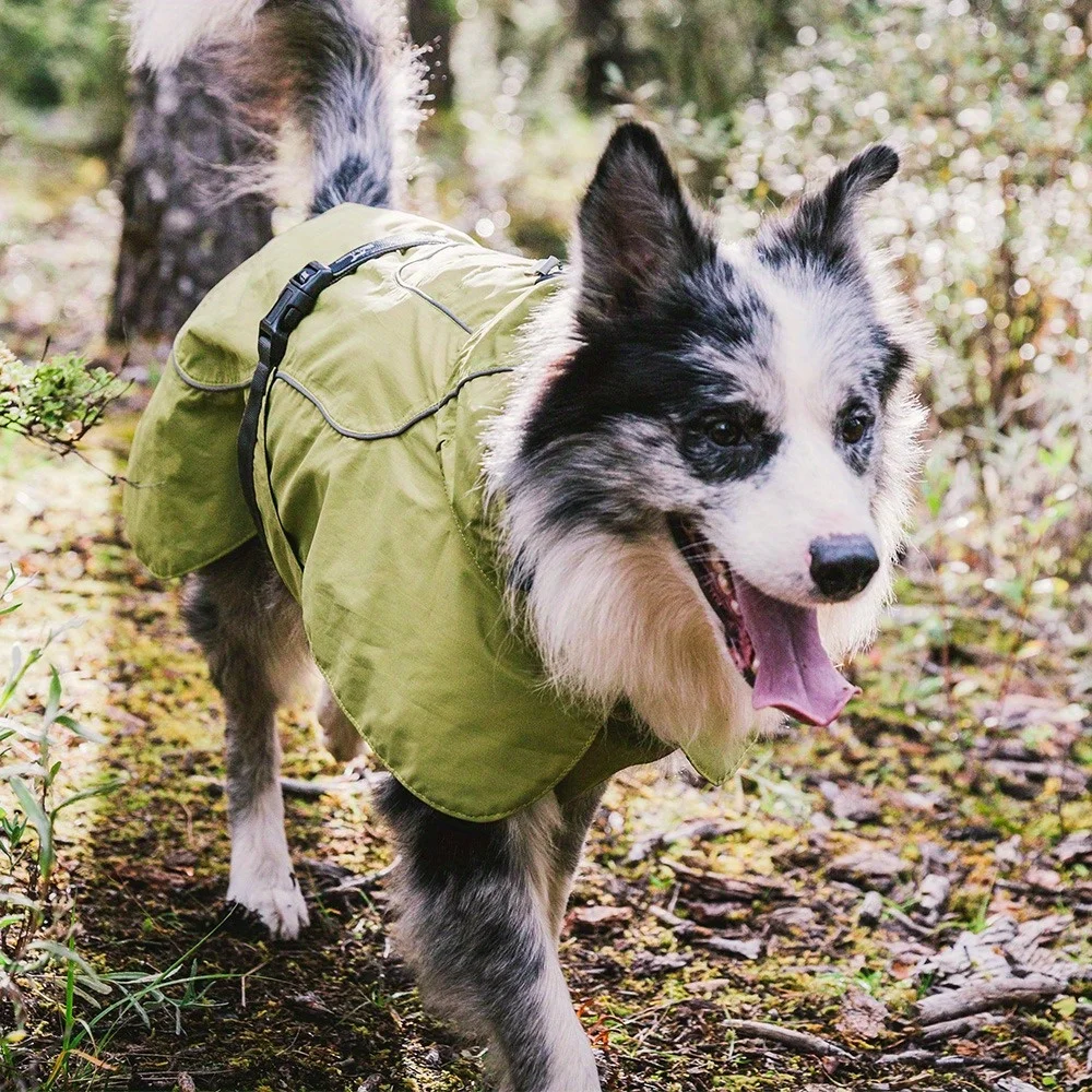 Spring outdoor poncho for pets, medium and large dog pets, raincoat is light and breathable, size L, matcha green.