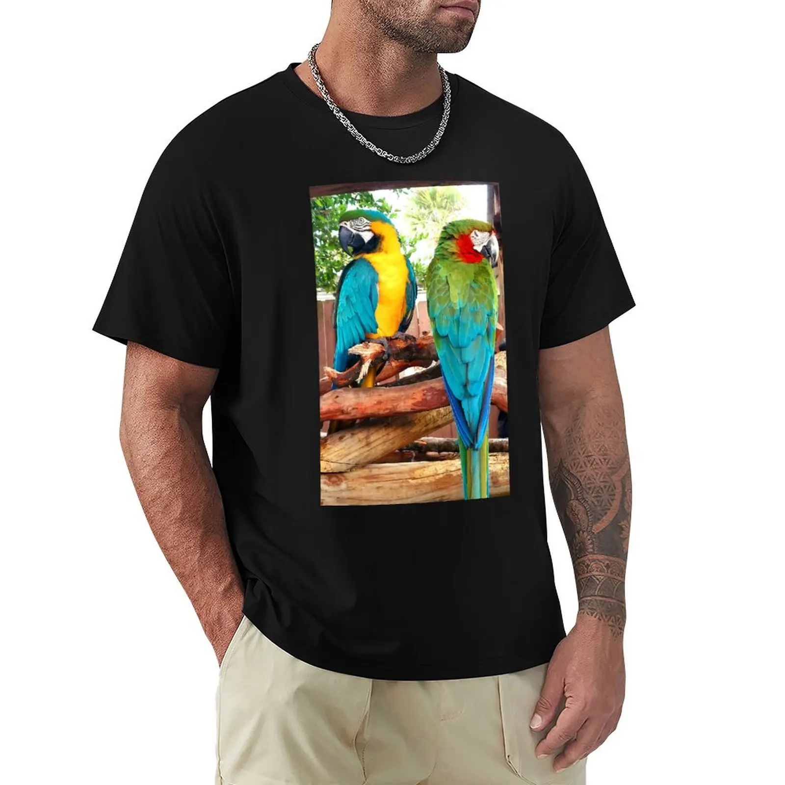 A Parrot meeting T-Shirt for a boy plus sizes customs summer tops t shirts for men