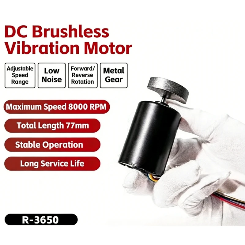 

Бесщеточный миниатюрный двигатель постоянного тока R3650, 12В/24В, с прямым и обратным вращением, долговечный.