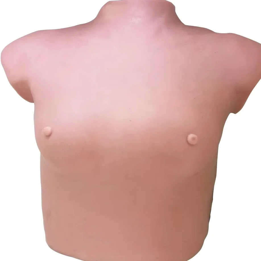

GD/F7C General Doctor Breast Examination Model Medical Model breast model for teaching