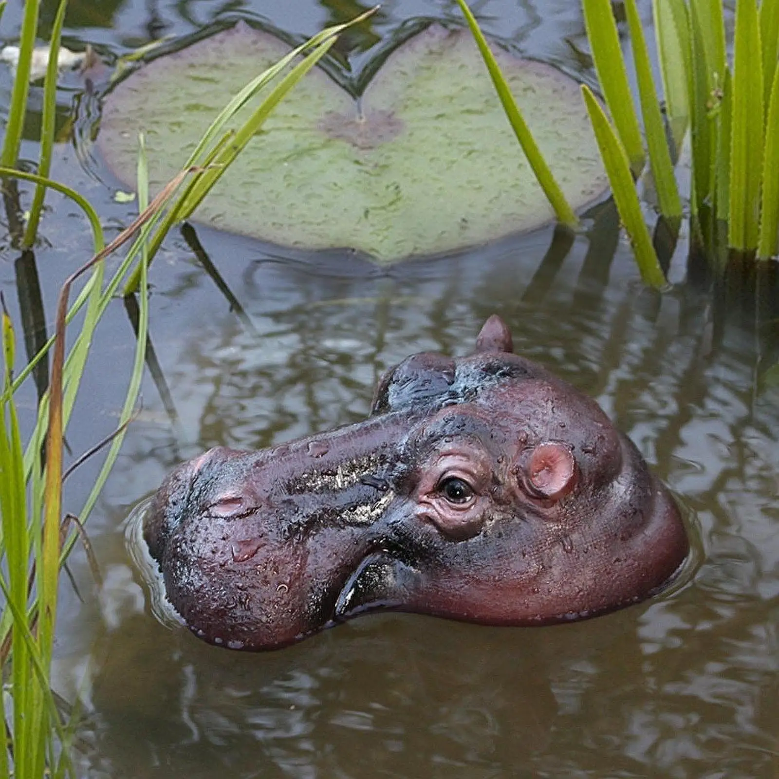 Pond Floating Hippopotamus Head Pond Decoration Ornament Sculpture Lawn Decor Lawn Statue Garden Animal Figurine Garden Decor