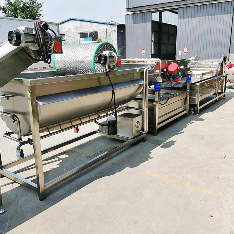Fully Automatic Vortex Vegetable Washer, Central Kitchen Prepared Meal Processing Production Line, Fruit (Customized)
