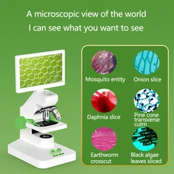 Hd Digital Biological Microscope 2400x 7 