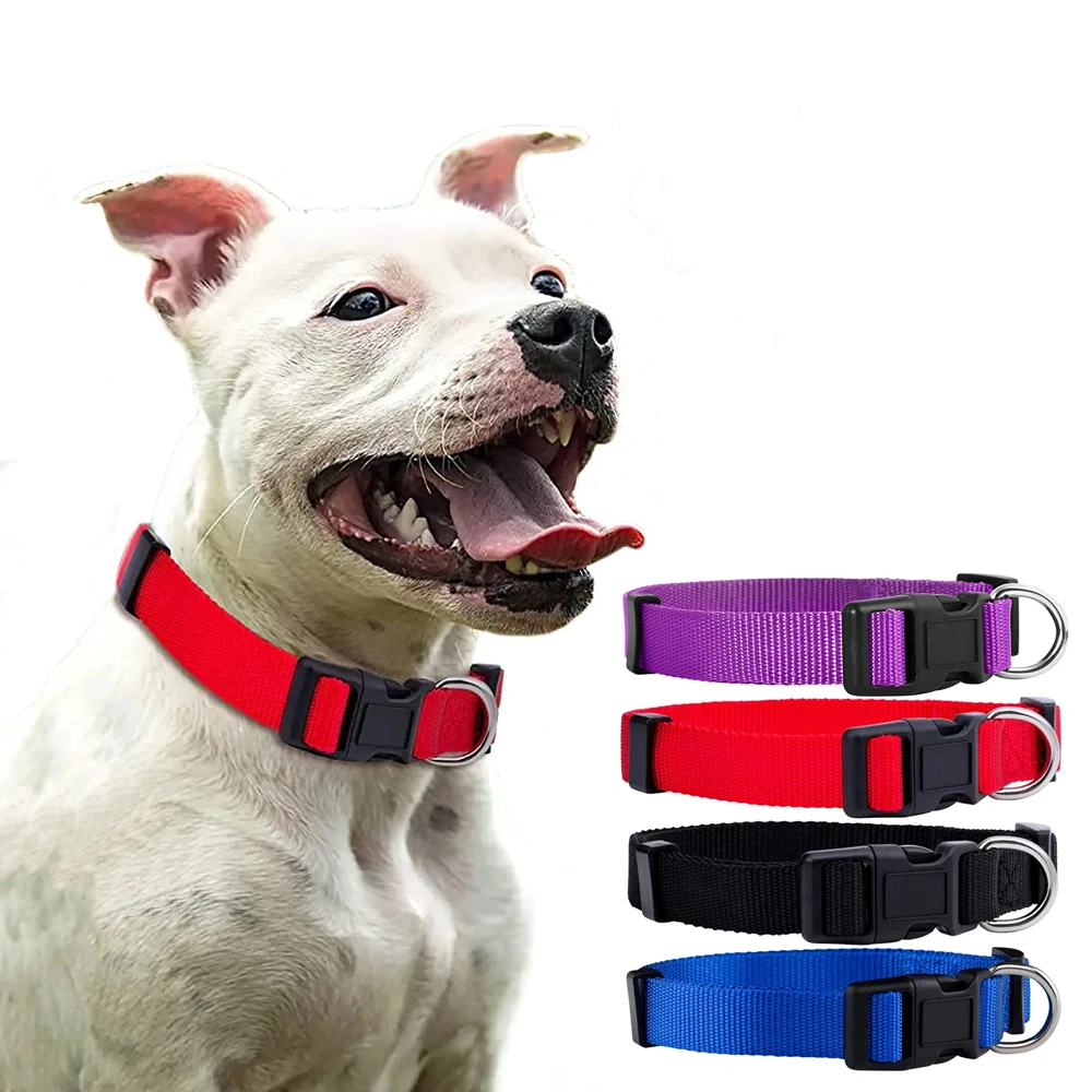 Basic Nylon Dog Collar with Quick Release Buckle Adjustable for Small Medium Large Dogs Bulldog Training Supplies Pet Accessorie