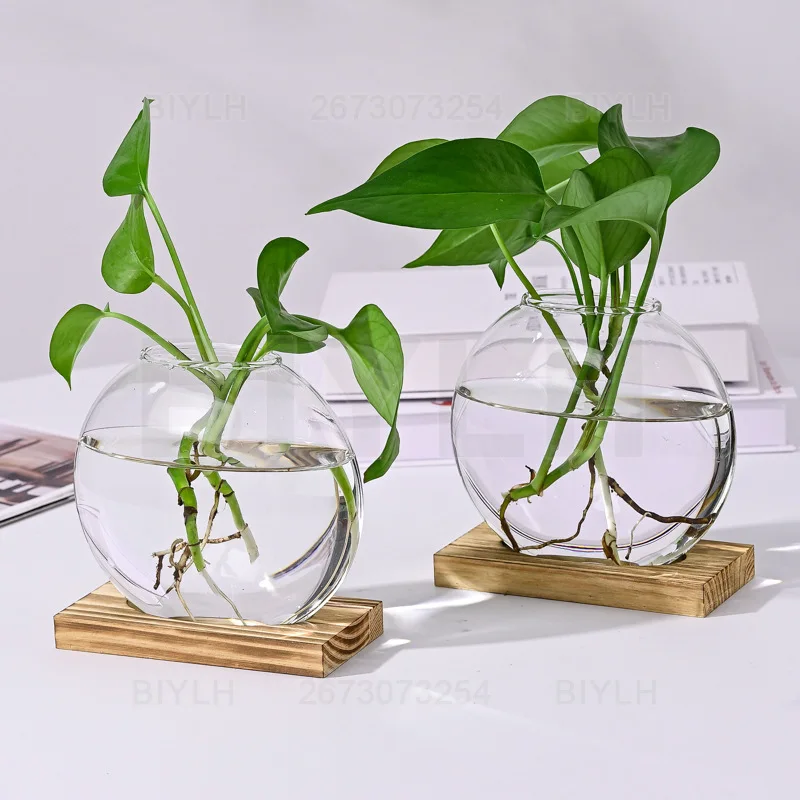 Hydroponic Glass Vase Home Decor Flower Arrangement Container Office Living Room Desktop Ornament Cuttings Growing Accessories