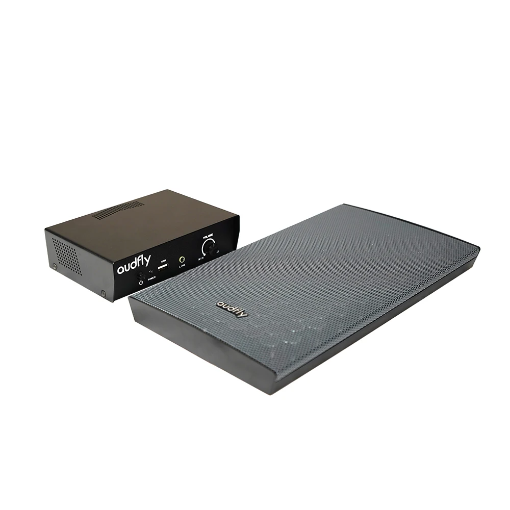 TLF Audfly Control Sound Innovation Alto-falantes direcionais de áudio de alta direção montados na parede para museus