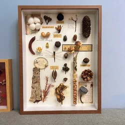 Hollow 3cm 3D Picture Frame for Specimen Dried Flower Crafts Shells Display Handmade DIY Handwork Photo Frame Home Decoration