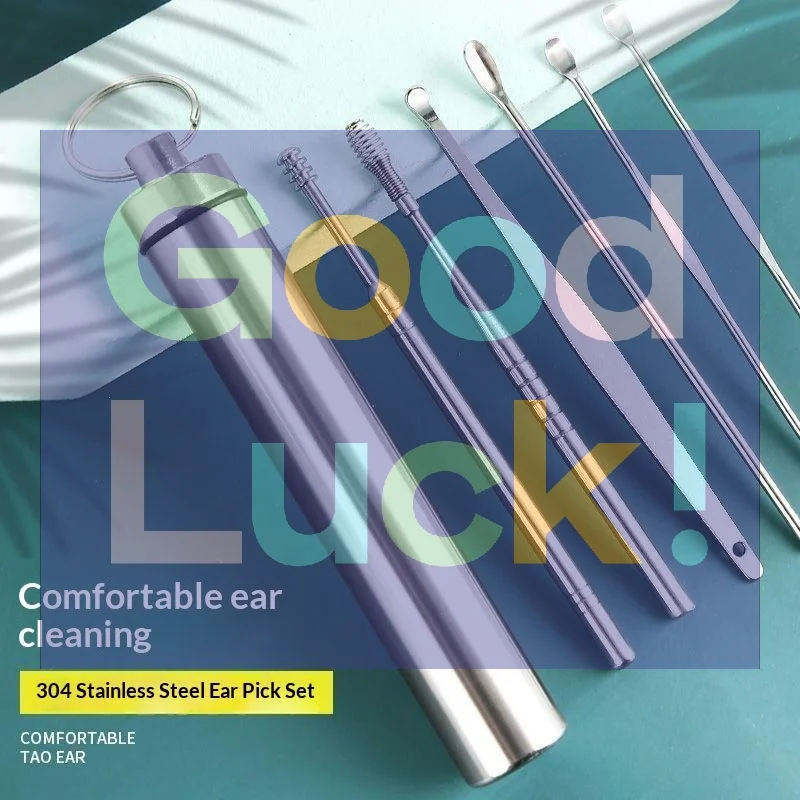 【WA】6Pcs Ear Cleaning Ear Picking Earpick Set Convenient Portable Stainless Steel Ear Pick Tool Household For Adults