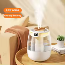 LED Humidifier
