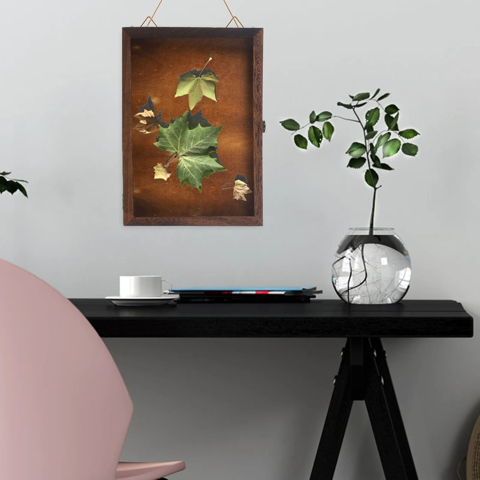 

Specimen Display Box Premium Wood Acrylic Compact Multi Functional Clear Lid Durable Protective Storage Case Butterflies Jewelry