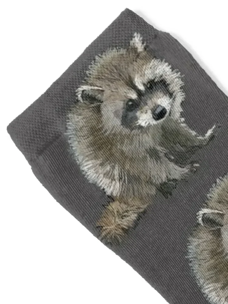 raccoon cub Socks New year's winter Men's designer Women Socks Men's