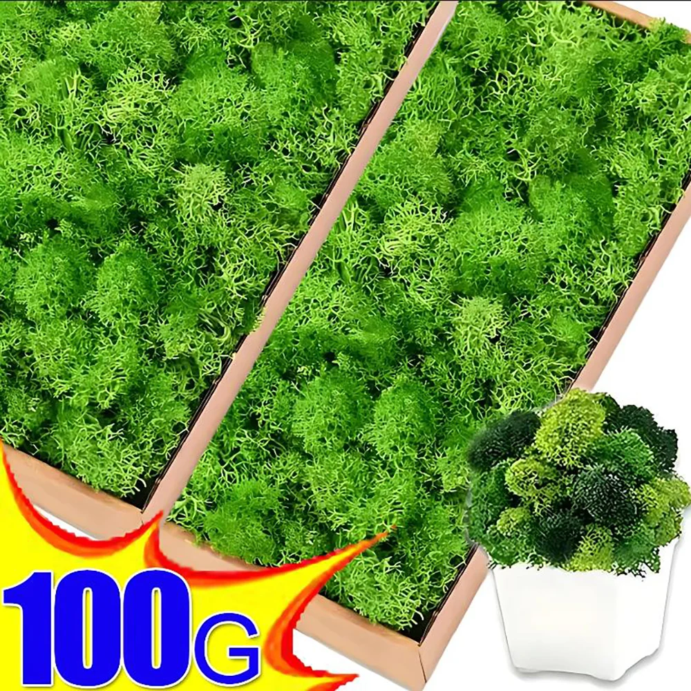 100/50/30g Artificial Green Plant Eternal Moss DIY Crafts Room Garden Balcony Floor Wedding Decoration Mini Landscape Fake Grass