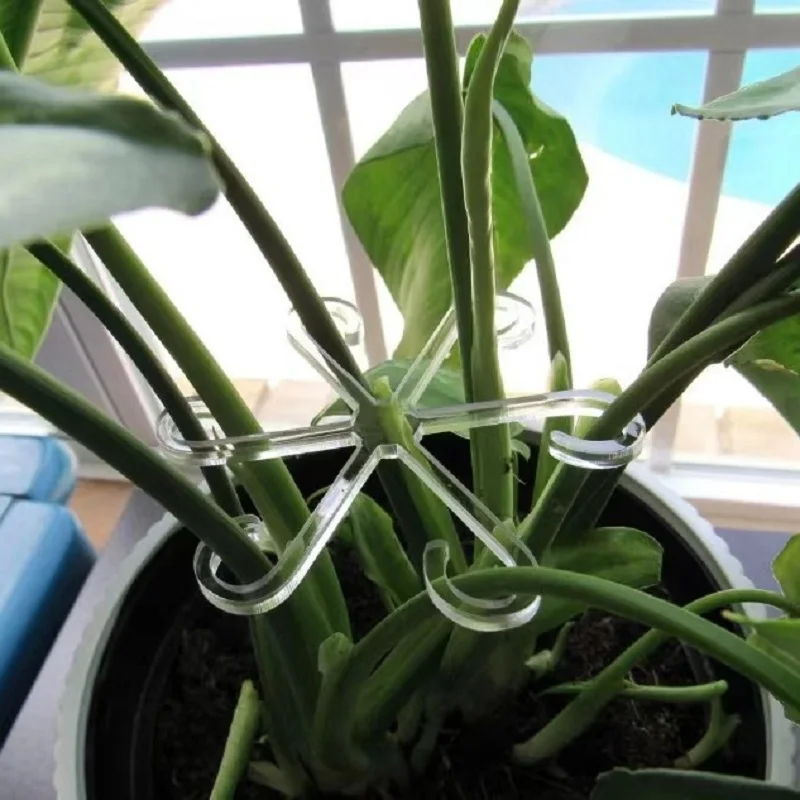 Plant Stem Support Alocasia Monstera Leaf Support Vine Support Clips For Climbing Plants To Grow Upright And Make Healthier