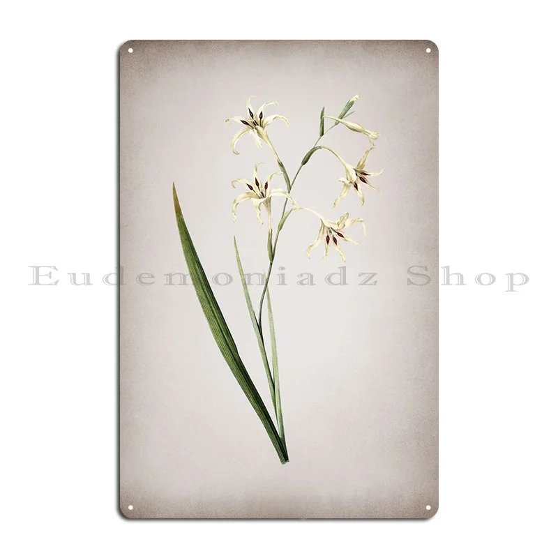 Gladiolus Cuspidatus Metal Plaque Cinema Character Cinema Funny Decoration Tin Sign Poster