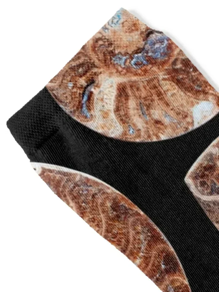 Ammonites fossil snail Socks Rugby funny gift japanese fashion Men's Socks Luxury Women's