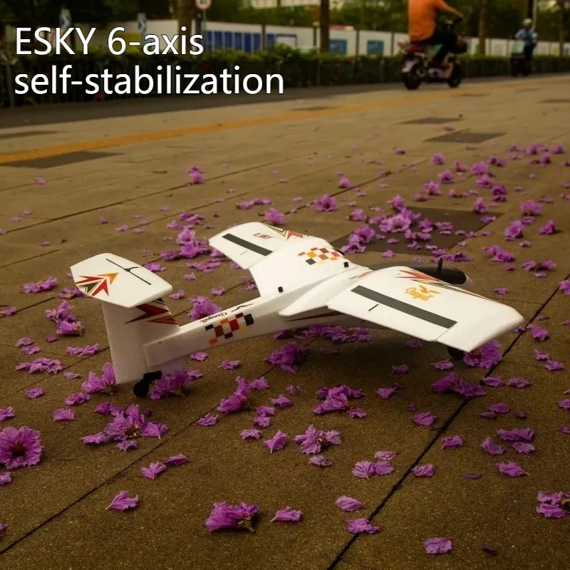 2024 New ESKY Seagull BTF/RTF Fixed-wing Beginners Practice 6-axis Self-stabilization of Remote Control Aircraft Model