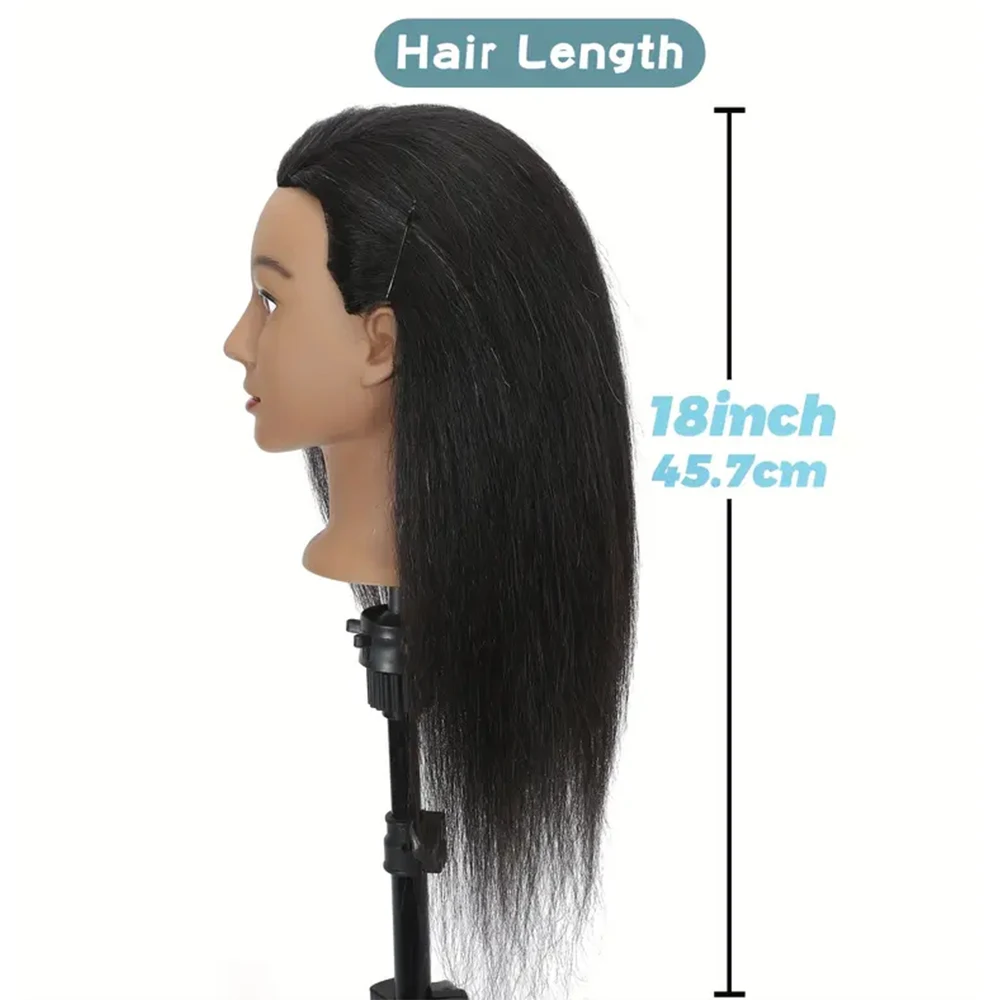 Thumbnail 4 - #29 Training Head Kits List of Top Picks