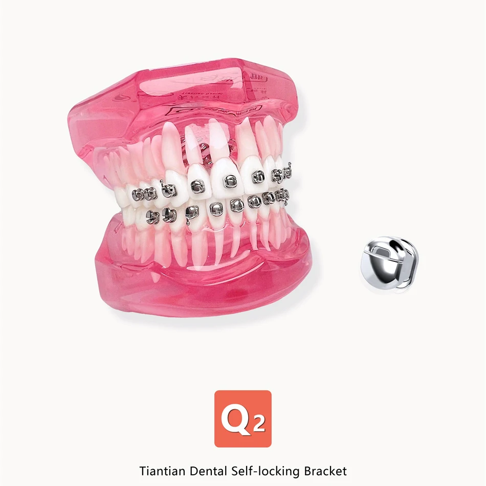 

MBT Straight Wire Bow Metal Mesh Bottom Self-locking Spherical Bracket Q3 With Hook, 0.022", Equipped With Cheek Tube