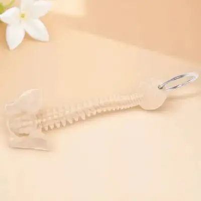 

Tools Keychain Car Ornaments Chiropractor PVC Backbone Modle Pendant Keyring
