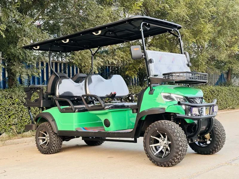 سيارات البيع المباشر من المصنع عربات الجولف الكهربائية المخصصة #3