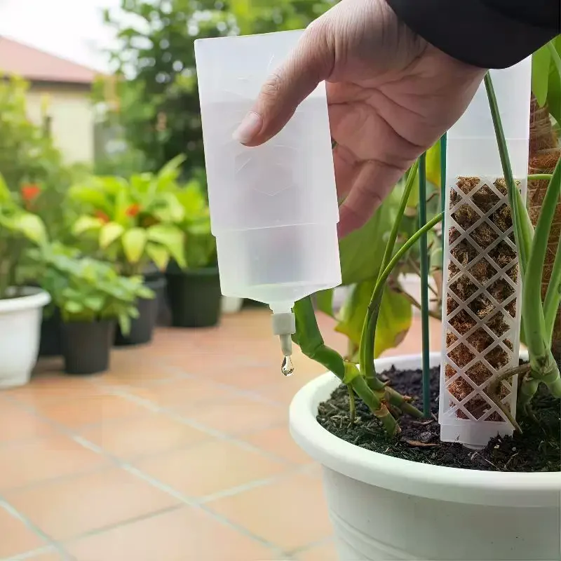 D Shaped Self Watering Plant D - Sphagnum Moss Dry 评论和价格