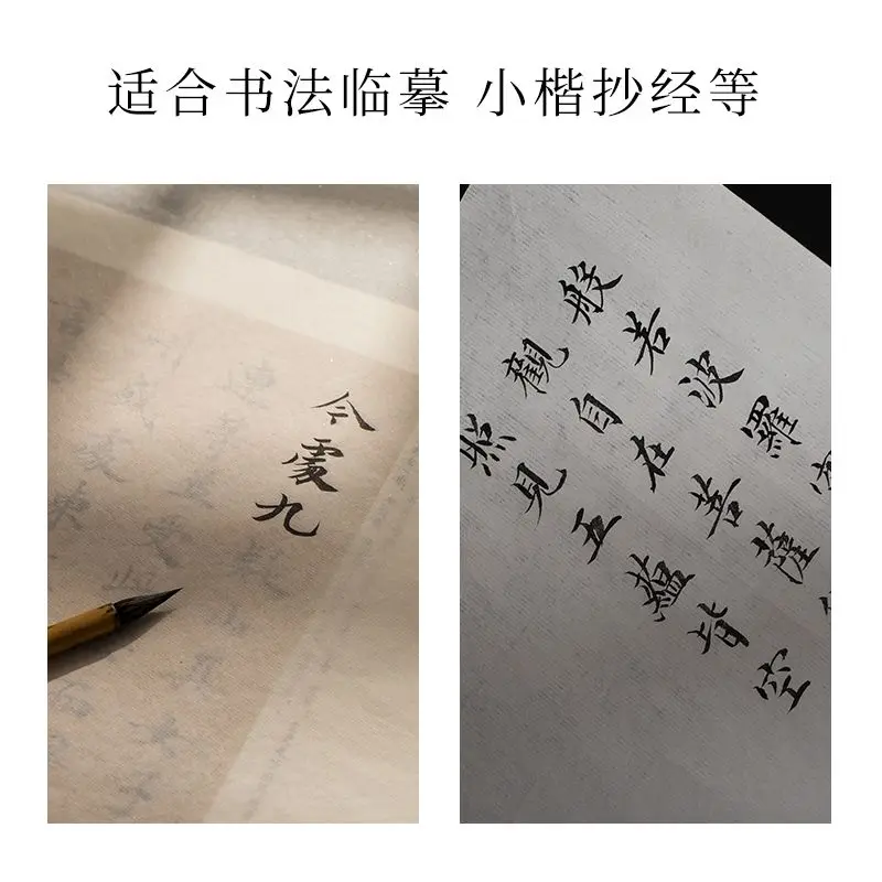 Handmade Cicada Wings, Traditional Chinese Painting, Fine Brush Painting, Copying Works, Paper Line Drawing, Exercise Sheet