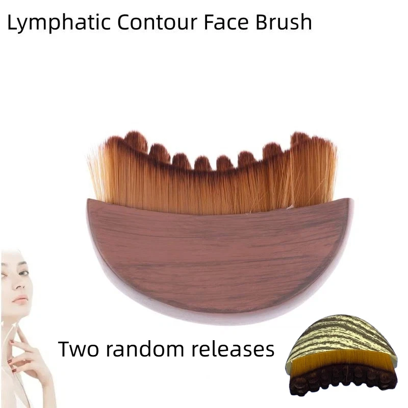Lymphatic Contour F… - image