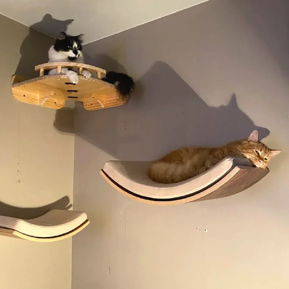 الحائط القط جدار تسلق الرفوف مجموعة خشبية أشجار القط برج هرش منصة القفز داخلي القطط ملحقات صالات الألعاب الرياضية لعبة