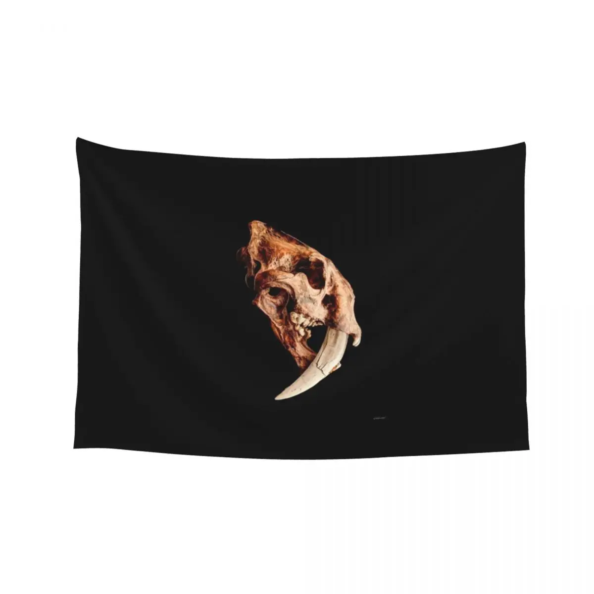 

Smilodon fatalis Skull 1 Tapestry Home Decor Aesthetic Room Decorating Aesthetic Home Decoration Tapestry