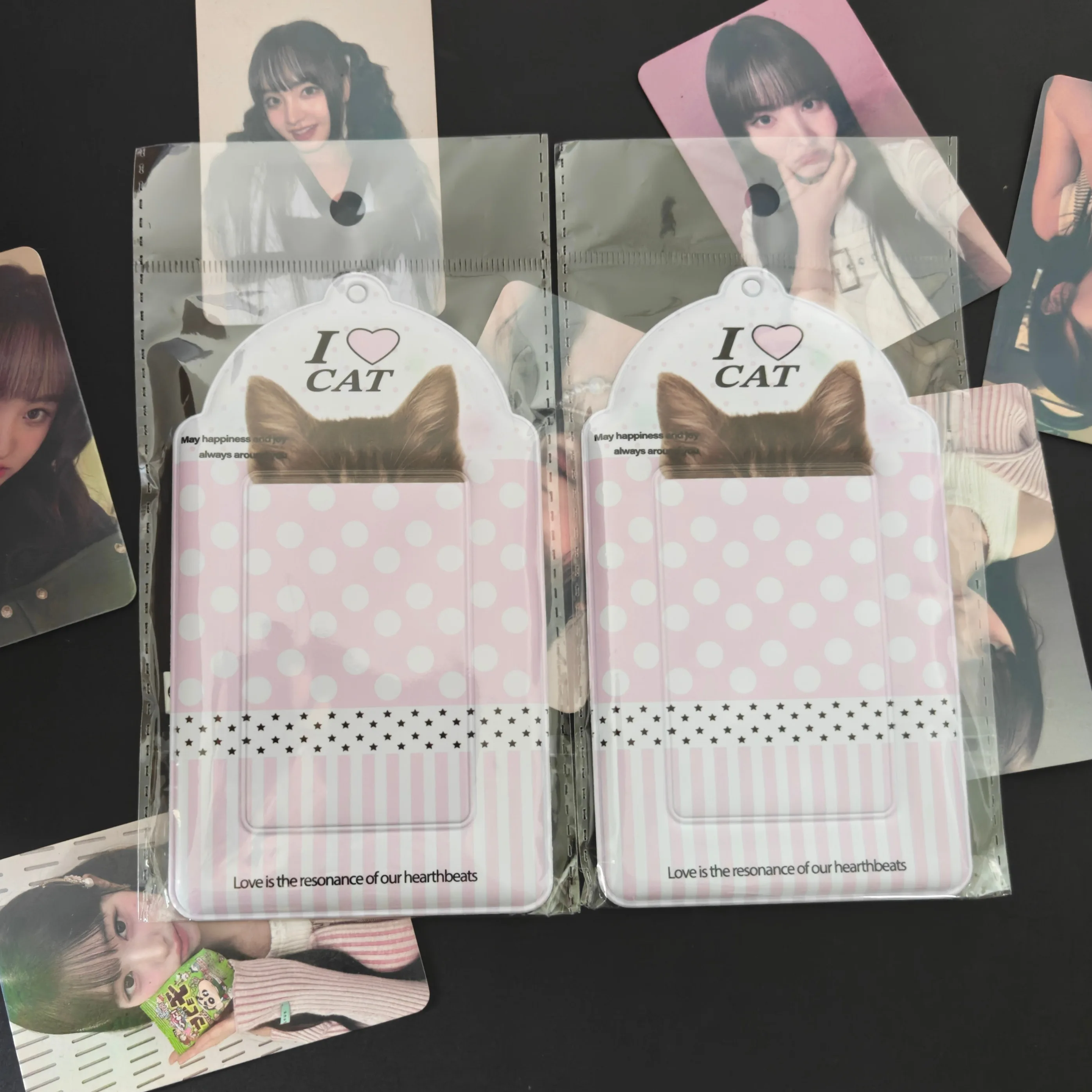2 個のかわいい猫カードホルダーアイドルポラロイド 3 イン - Photography Exhibition のレビューと価格