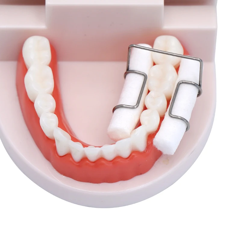 

2pcs Stainless steel cotton roll clamp, dental oral cleaning cotton roll clamp, dental material cotton roll fixing clamp