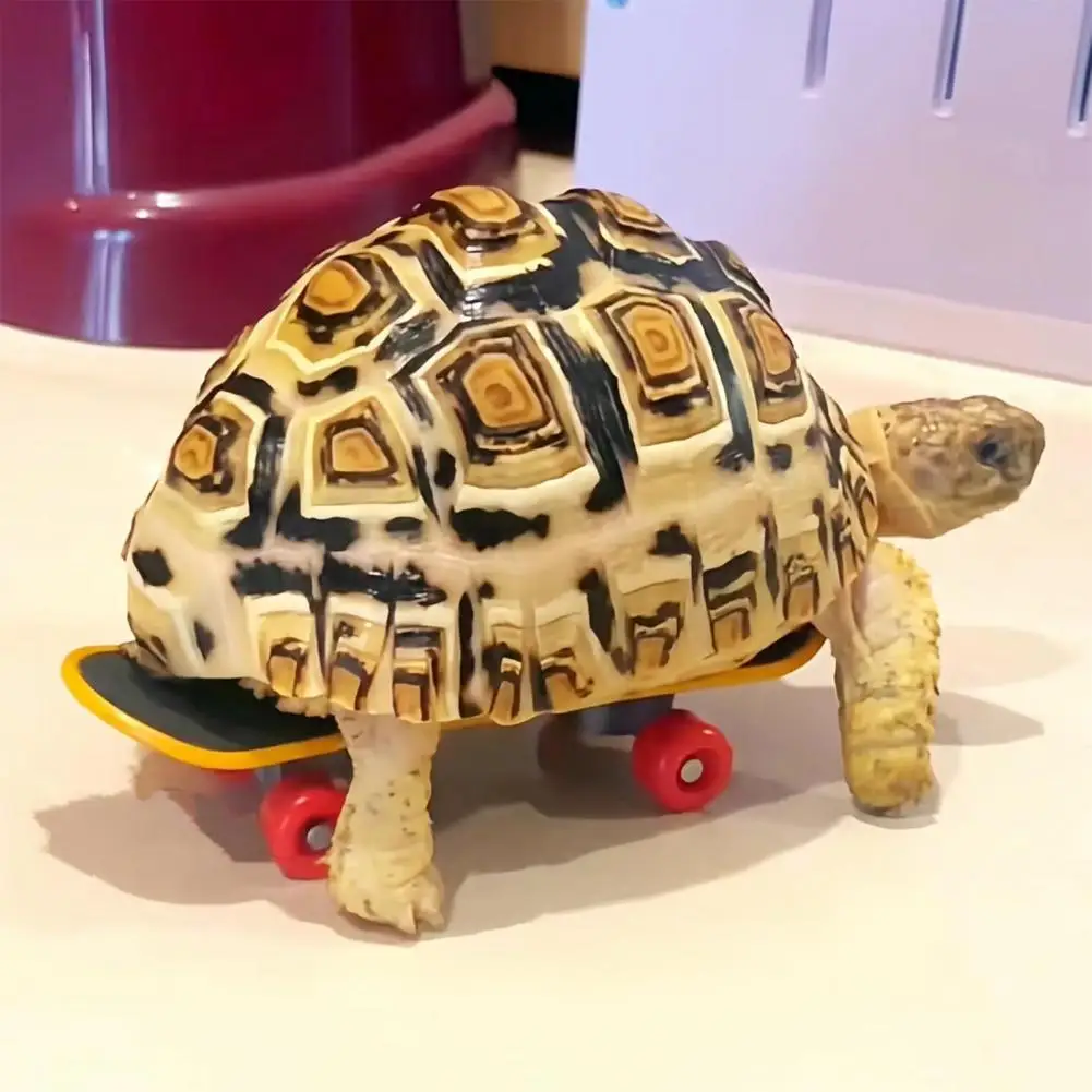 Turtle Training Toy Turtle Training Set with Fruit Vegetable Feeding Ball Mini Skateboard Toy Anti-slip Pad Tortoise for Small