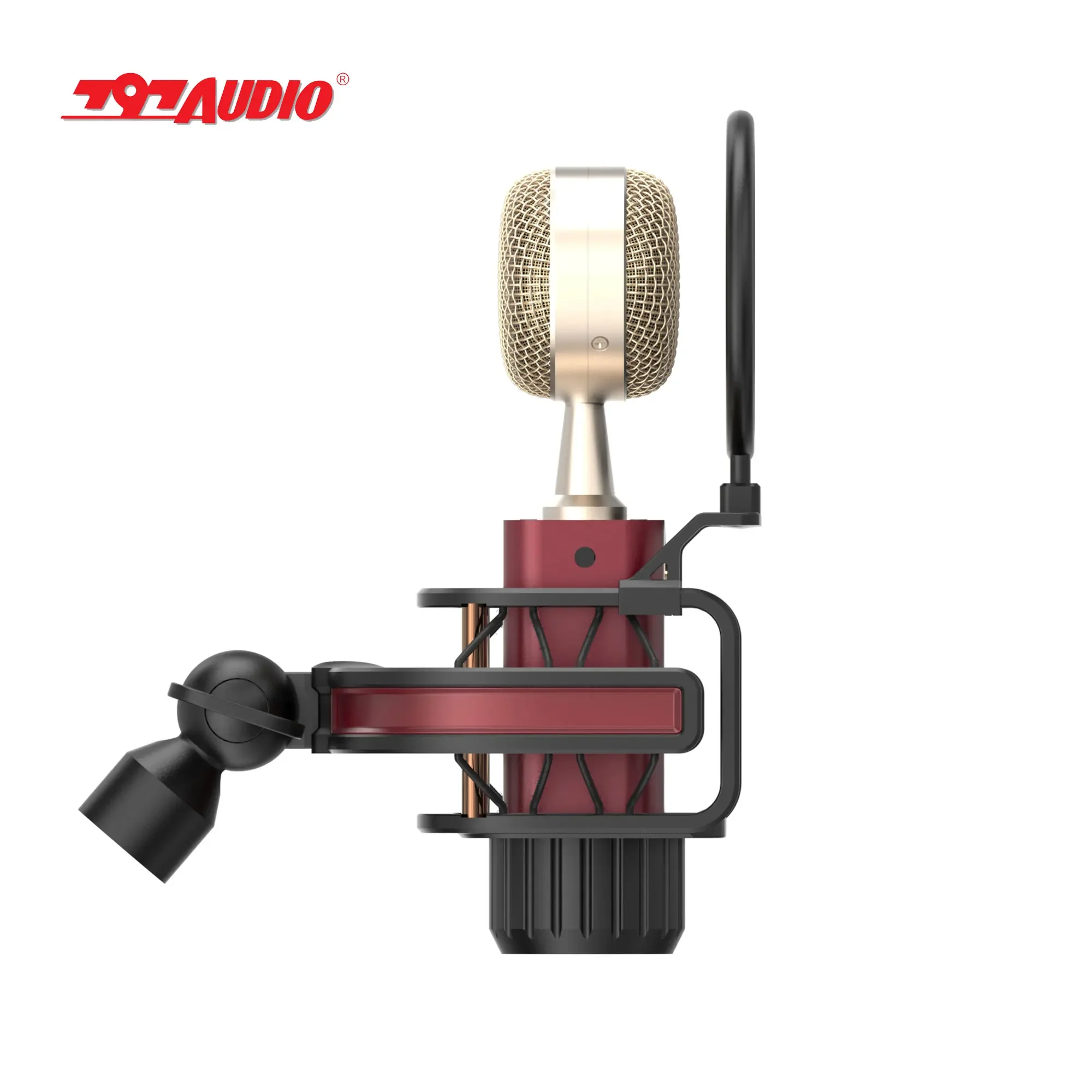 

797Audio D501 Professional Noise Cancelling Condenser Microphone For Laptop Gaming Singing With Shock Mount Type-C High Quality