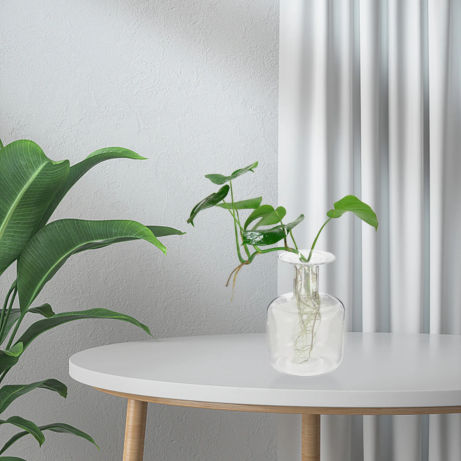 

Creative Glass Vase Modern Style Flower Bottle Clear Vase for Home Office Decor Safe Easy Clean Versatile Use