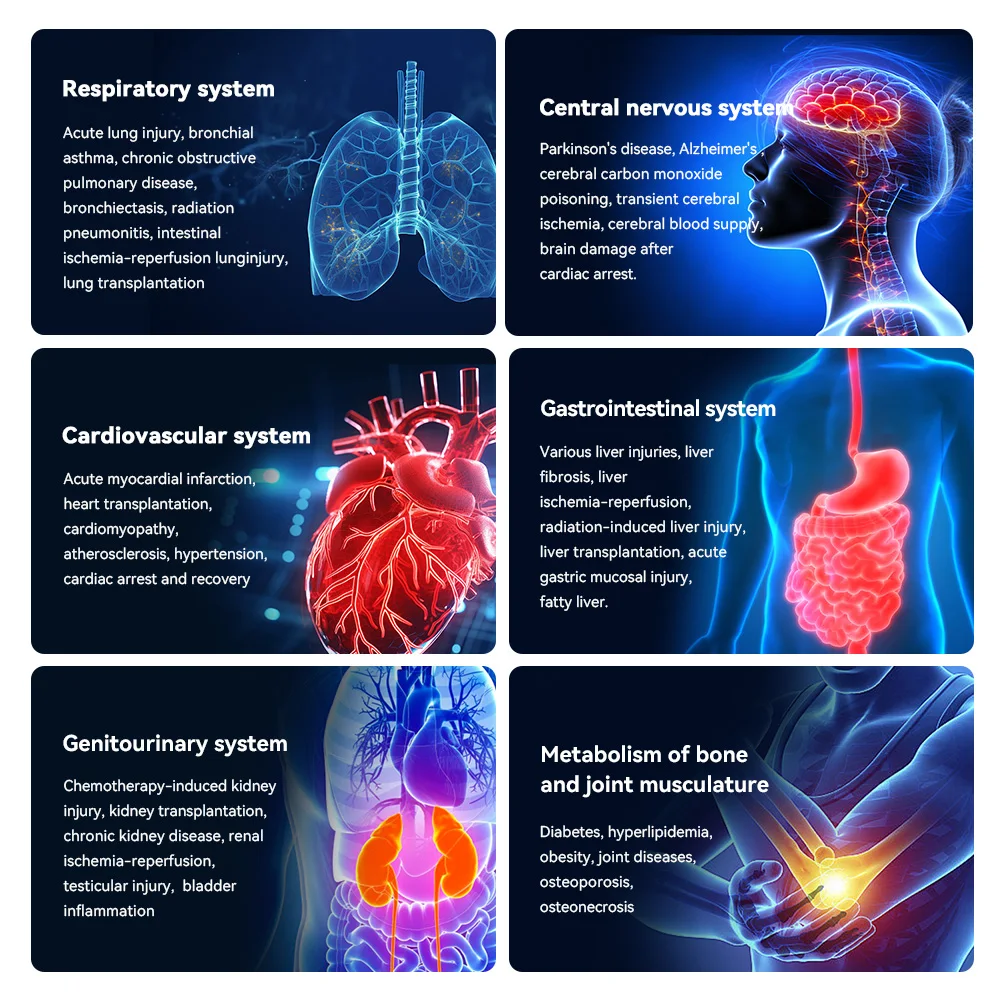 Suyzeko آلة علاج الهيدروجين الطبية النقية 300 مللي جهاز استنشاق الهيدروجين H2 آلة استنشاق الهيدروجين جهاز التنفس HHO #3