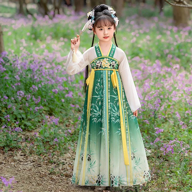 Ethnic Style Fairy Party Chinese Hanfu Vintage Harajuku Cosplay Performance Costume Kids Clothes Children Clothing Girl Dress