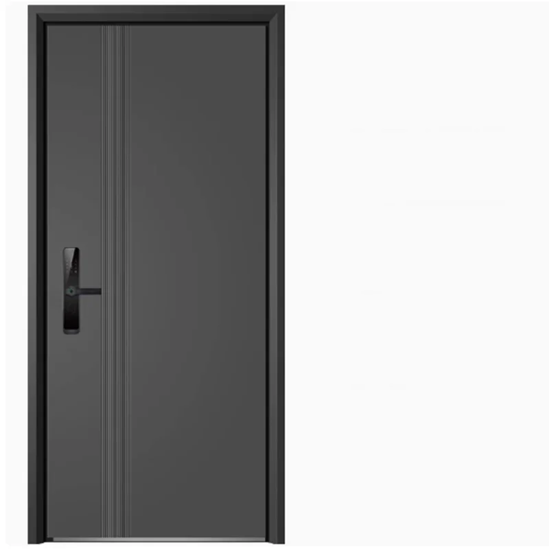 Porte extérieure brodée sur mesure, entrée principale, serrure à empreintes digitales, porte intérieure de chambre publique, meubles de maison actuels