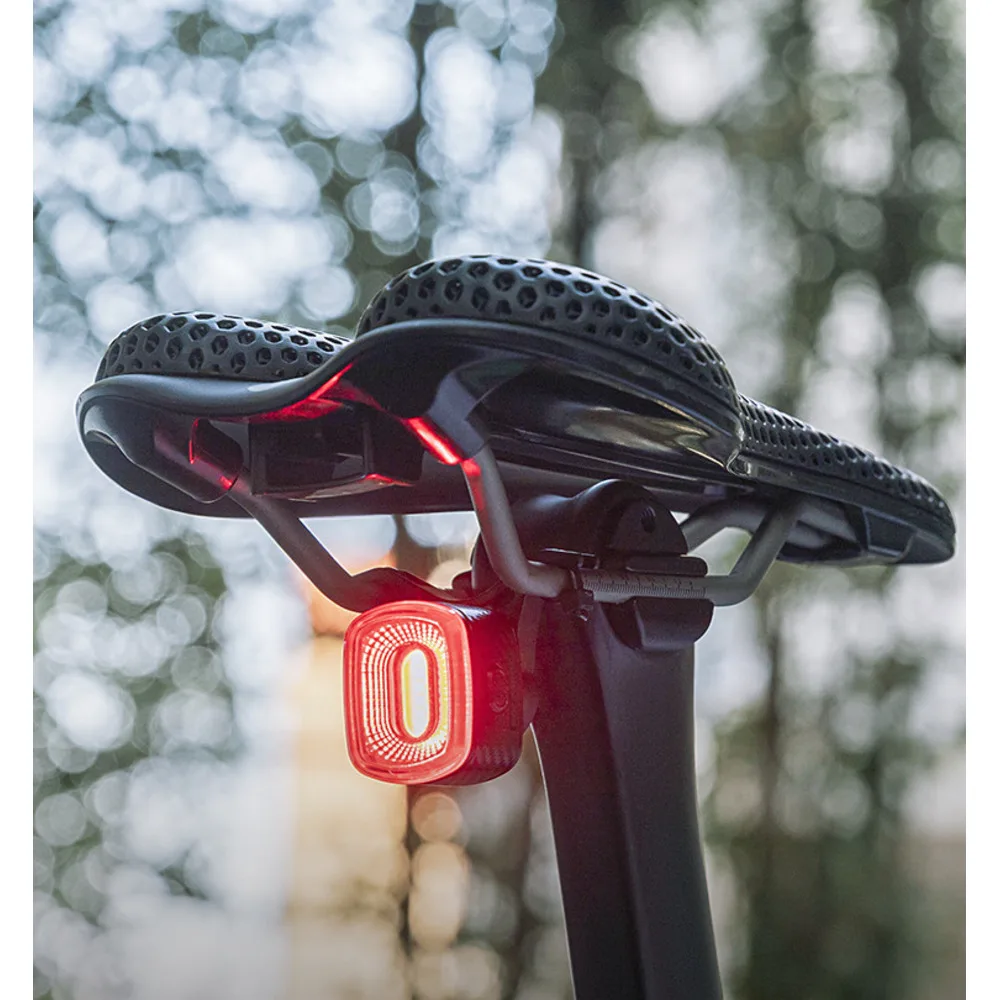 Rock Brothers Bicicletta Fanale Posteriore Notturno Luce di Freno con Rilevamento Intelligente Attrezzatura per Bici da Strada di Montagna Accessori per Equitazione_voghion.com