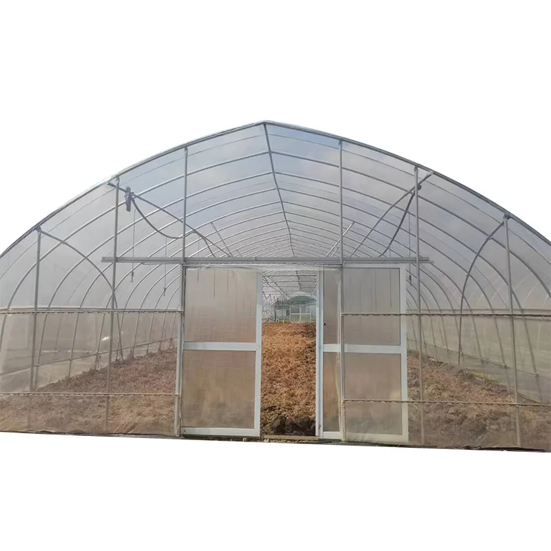 

2025 Single-frame greenhouse galvanized pipe arched strawberry film plastic vegetables