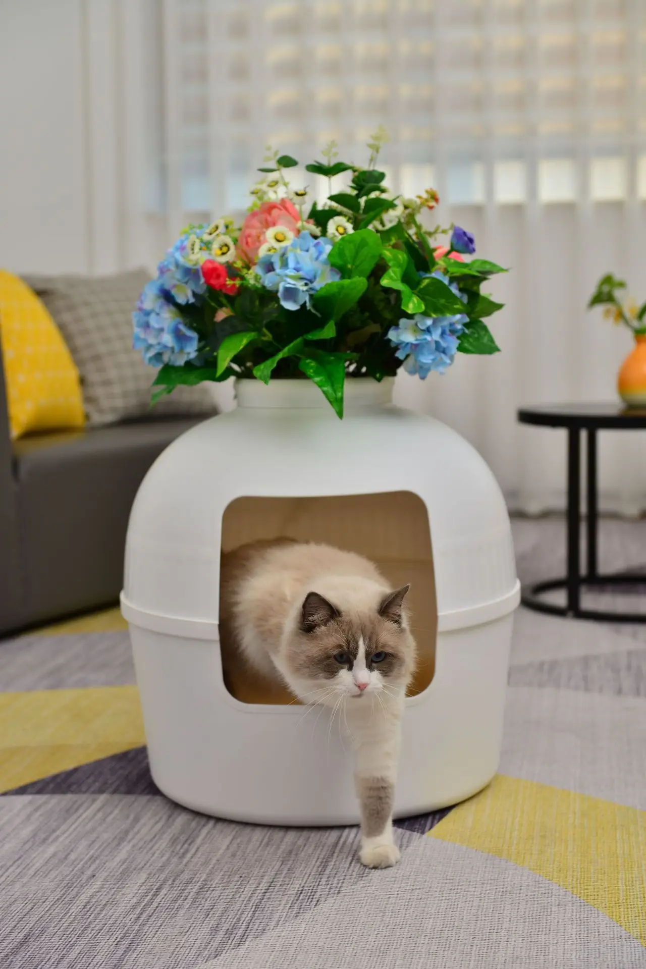 Large Space Secret Litter Box Easy Clean Cat Bed House Nest Seamless Furniture Design Plastic Cat Condo Pet Supplies