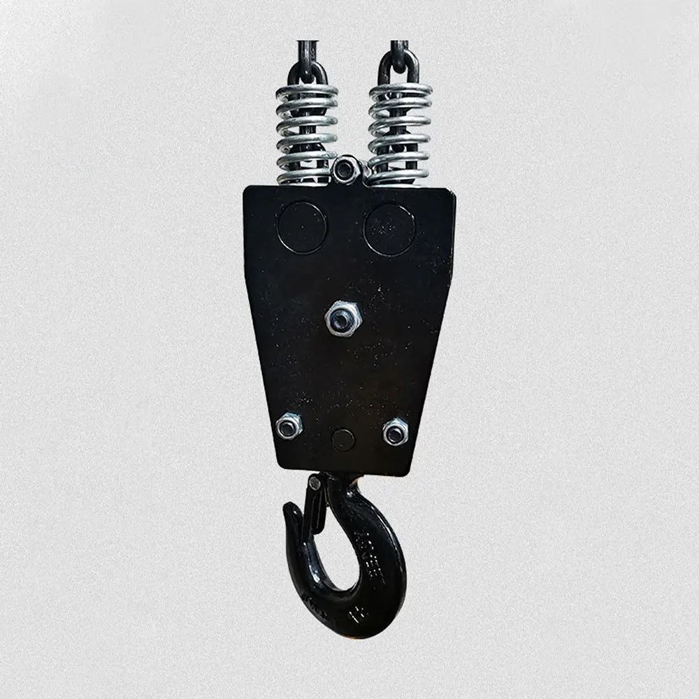 Treuil à chaîne électrique pour grue lourde, capacité de charge de 1 t1000 kg, monte-charge pour atelier, 220V