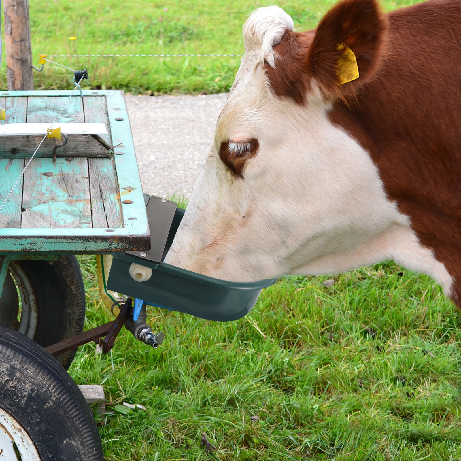 

Automatic Cow Drinking Water Bowl Plastic Livestock Water Feeder For Cattle Horse Sheep Goat Outdoor Farm Use Rustproof Stable