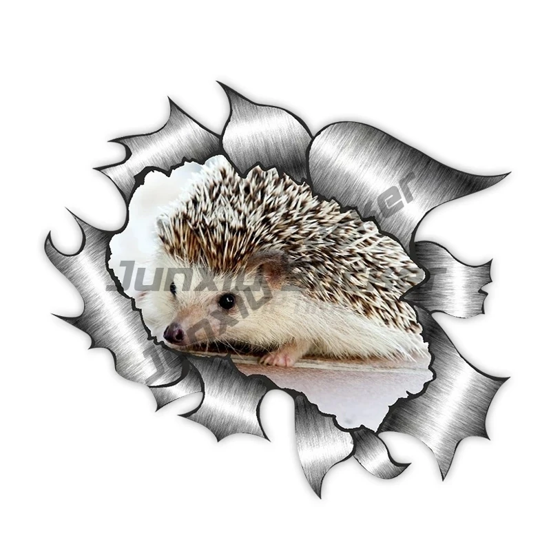 

Personality PVC Decal Hedgehog Car Sticker on Motorcycle Laptop Decorative Accessories