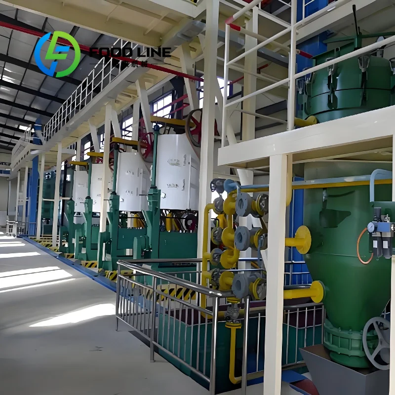 Compact Cold Press Oil Making Line Automatic Screw Oil Press Equipment For Small And Medium Oil Processing Business Use